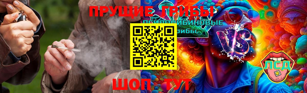 Вязьма  Псилоцибиновые грибы MAGIC MUSHROOMS  Вход с VPN 